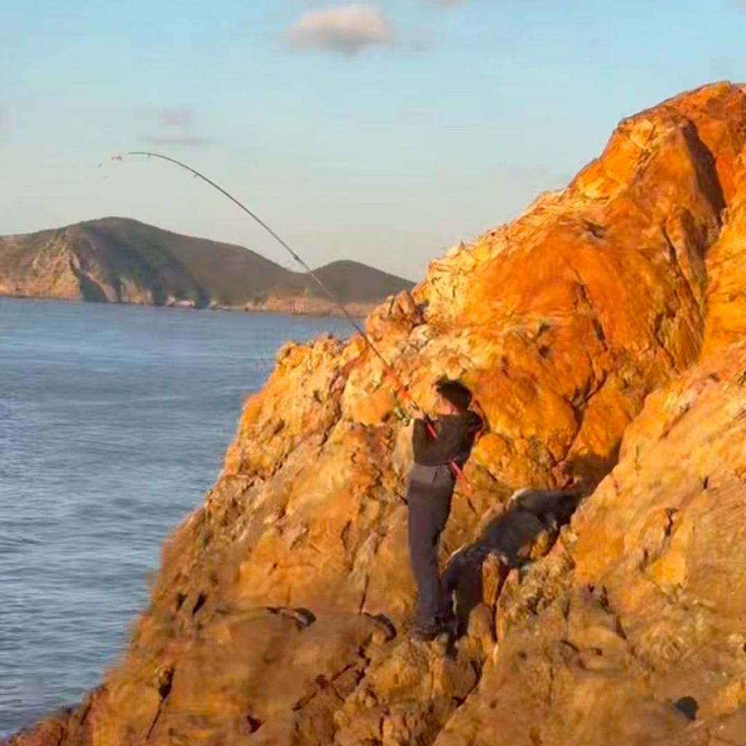 @西红市~廷多鱼🐟