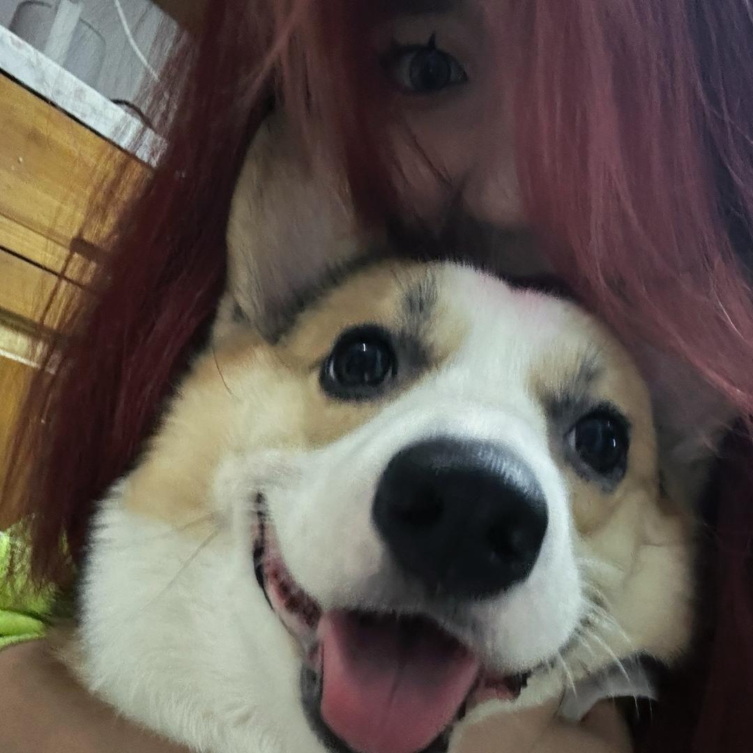 🍫巧克力砖块（717鸟巢登船版）