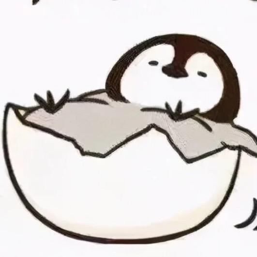 霖企鹅