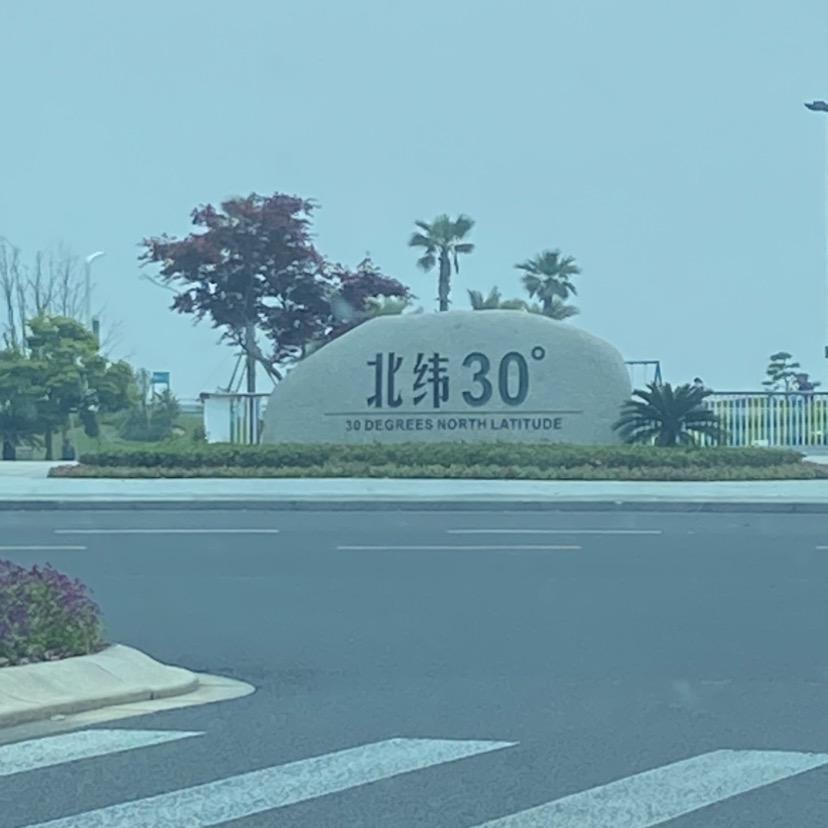 哲哲外贸