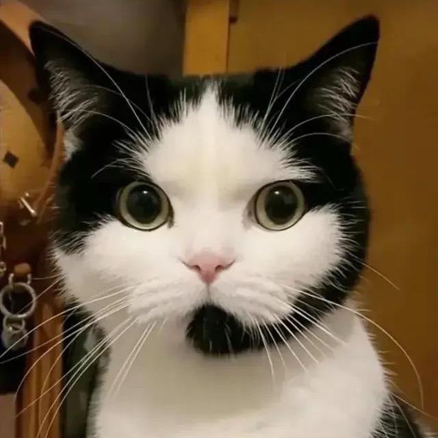 金钰琳