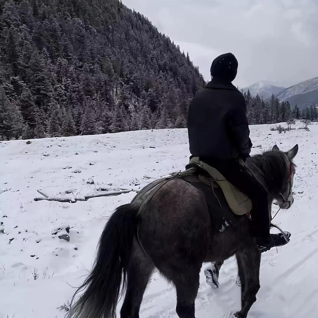 飞松