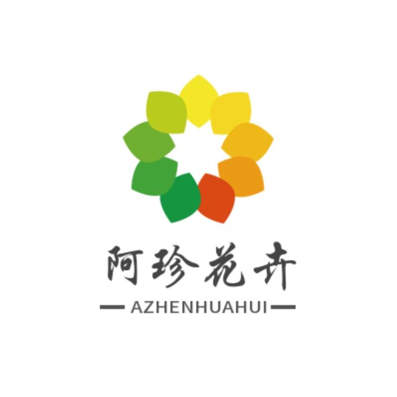漳州阿珍三角梅花卉