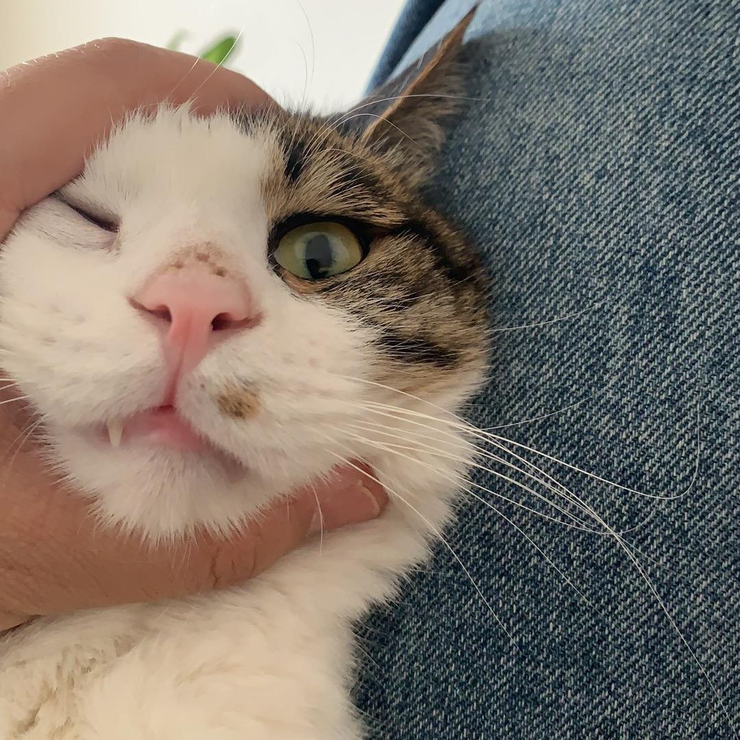 我都4…我都29了