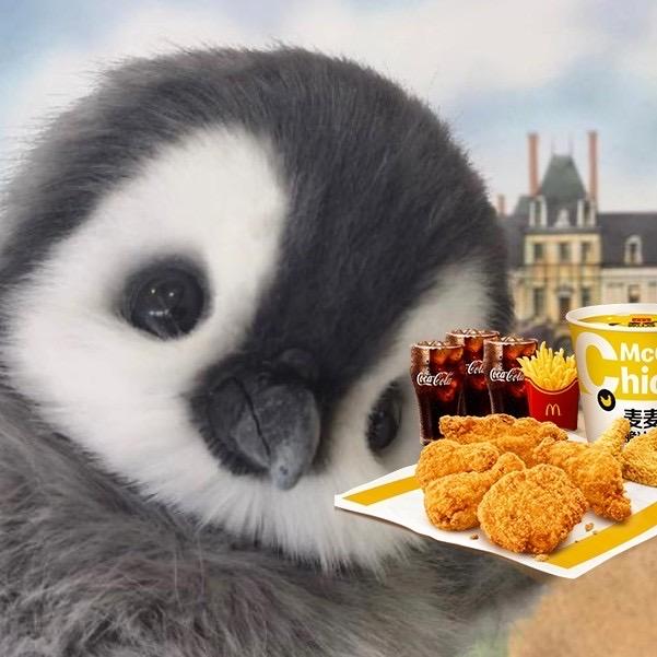 安安（无畏手游）