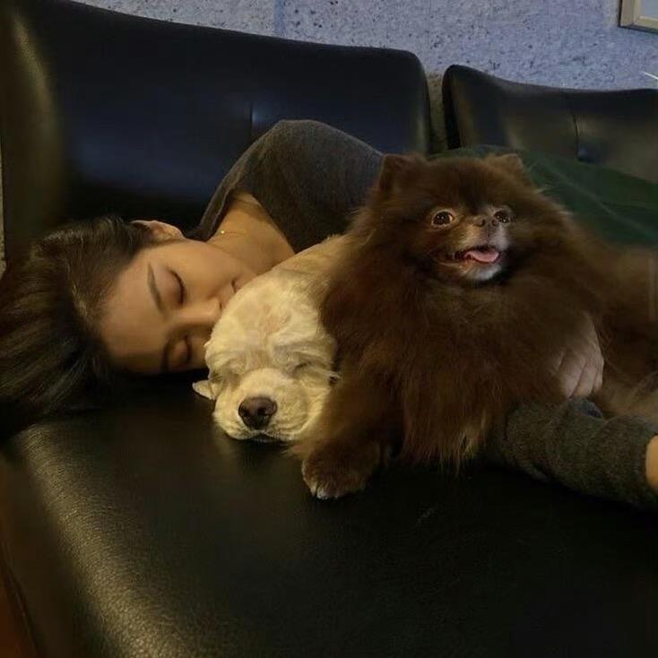 寧
