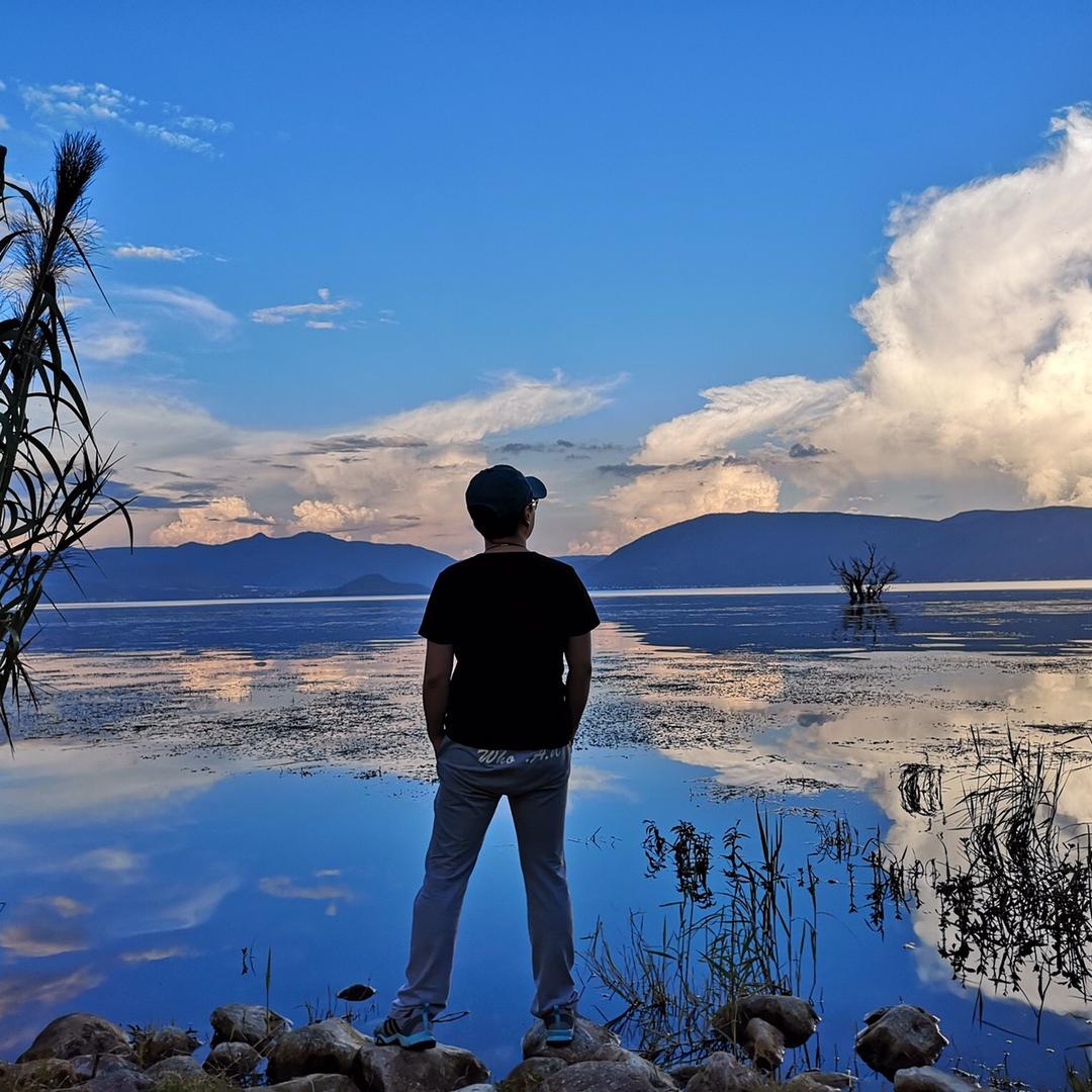 SIR（周易深度爱好者，零基础教写字）