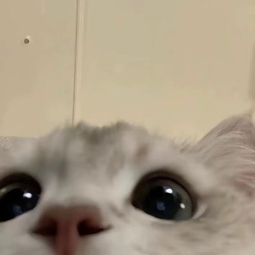 欧辣