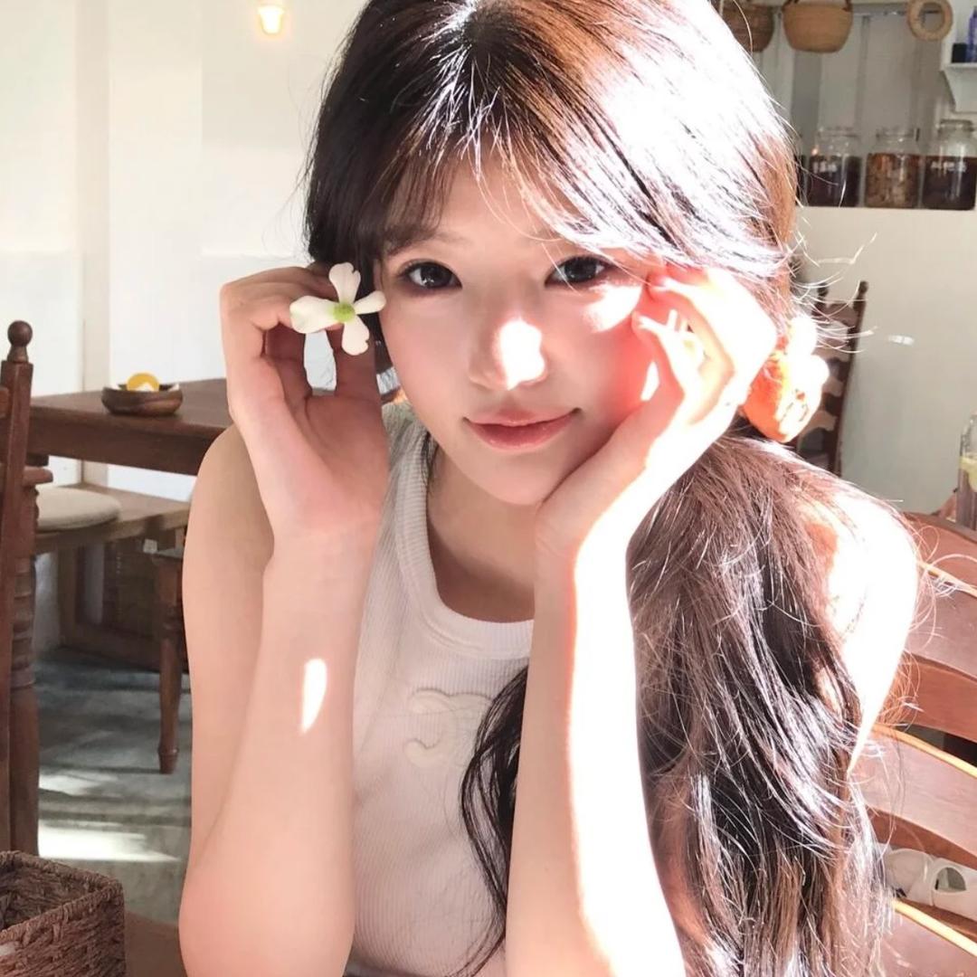 烦柿了.