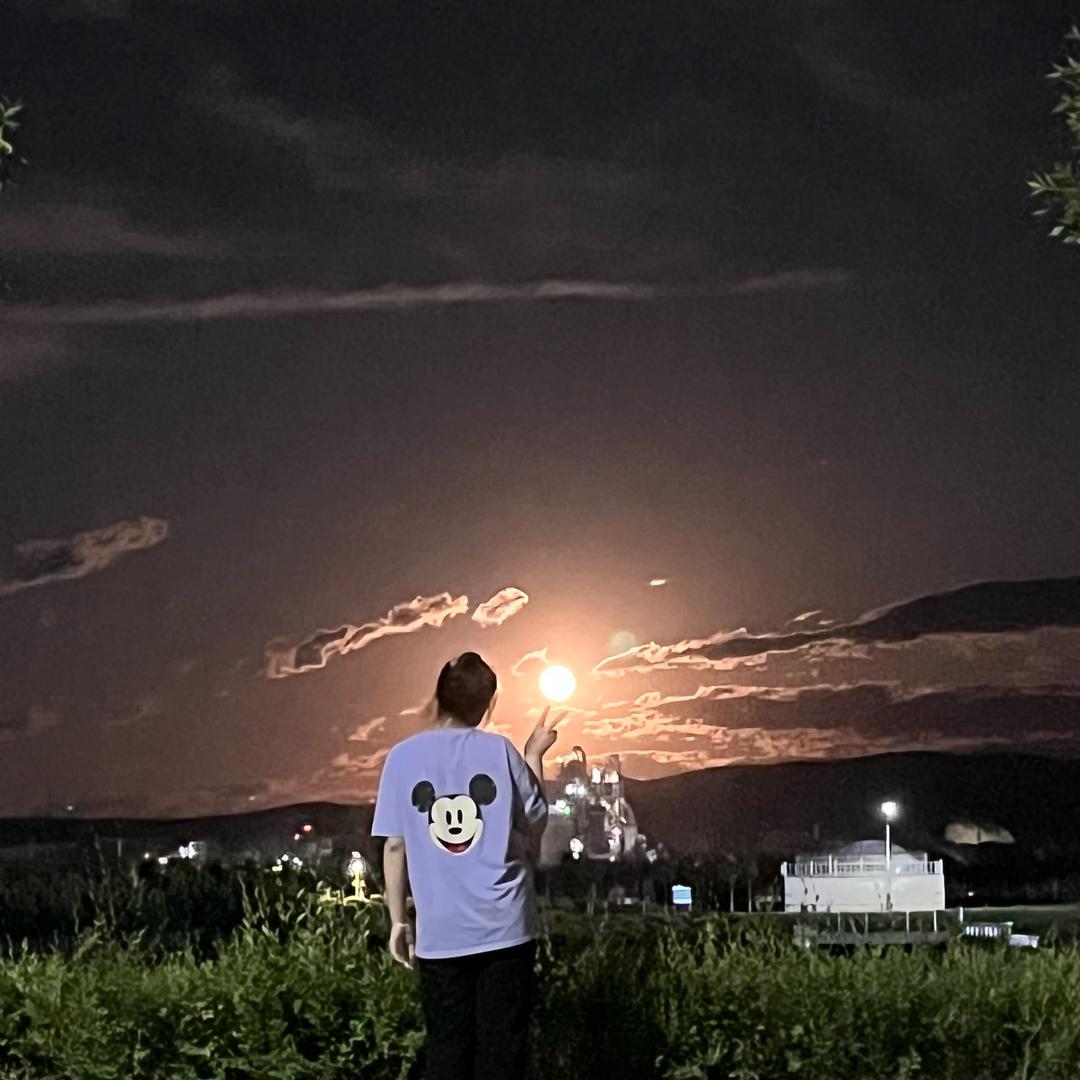 狼疮女孩的日记本