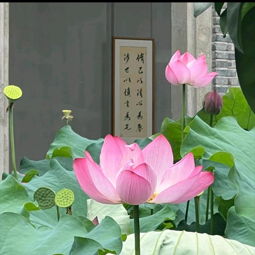 善念💞一生🦋