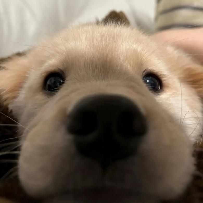 陈啊陈陈陈