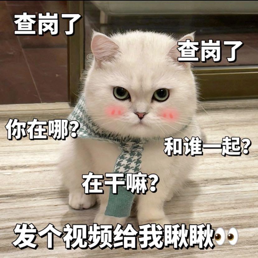 缇莫队长💃(招聘）