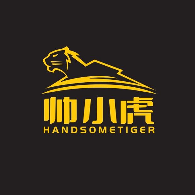 帅小虎新能源汽车装备