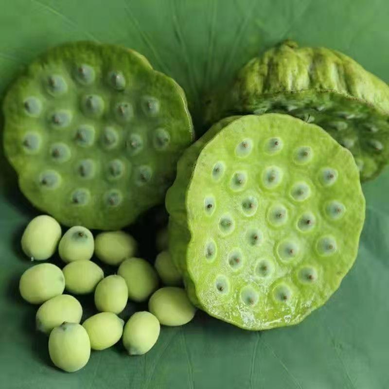 广昌源鲜坊的头像