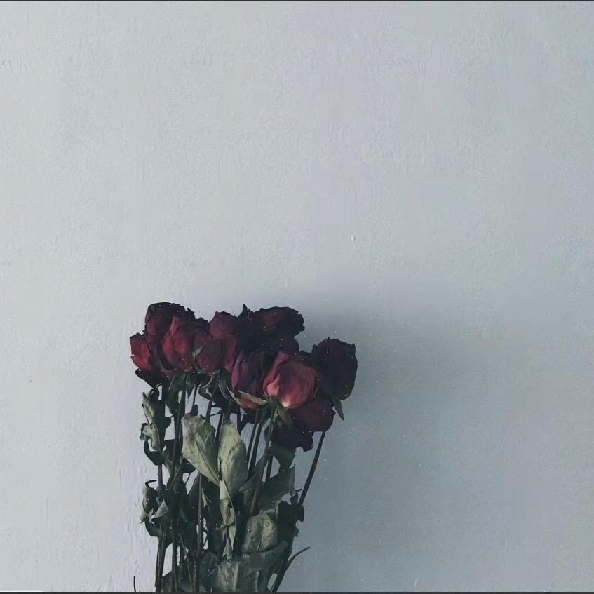 💋 呢 嘤 宁 吖、