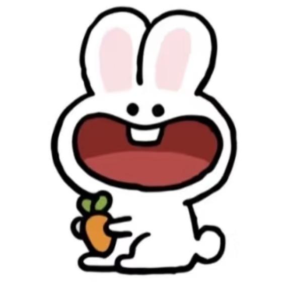 小兔子🐰