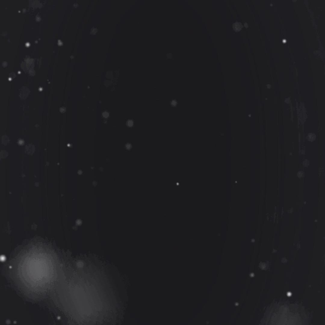 郑。