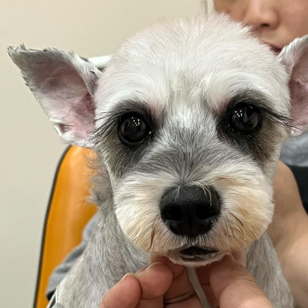 Shan·xiaoyu（隐巷炸串）