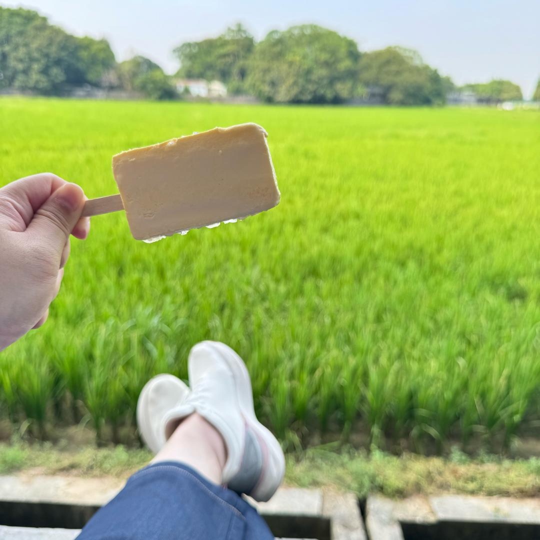 木质风筝🪾🍀