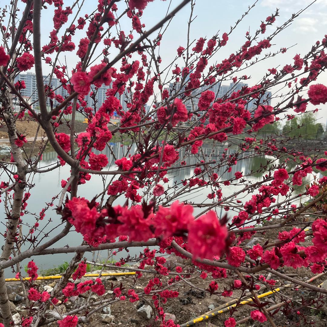 ㅤㅤ︃ㅤ︃︅︄︃   ㅤㅤㅤ明明很㿝氼