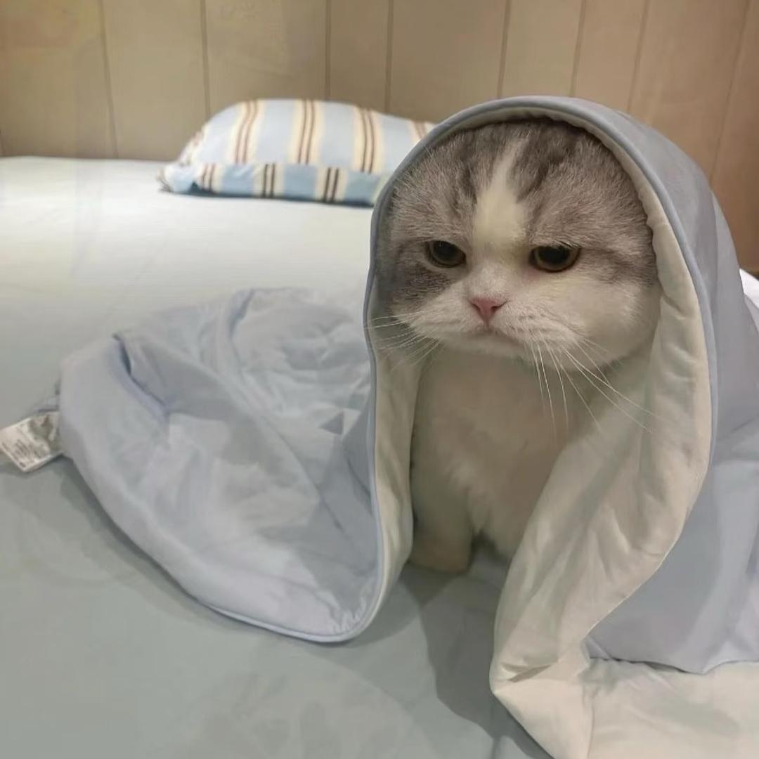 刘源🤞