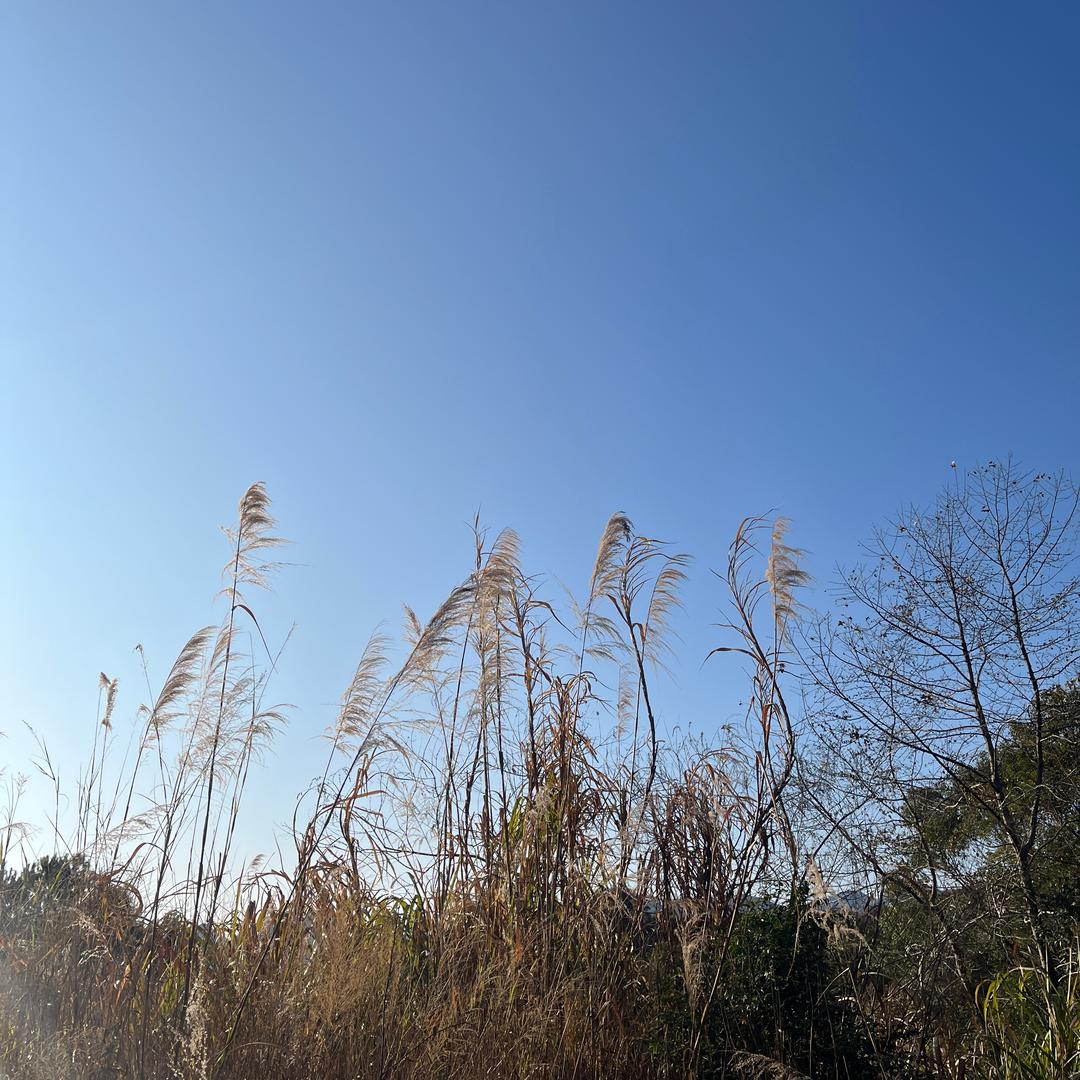 吾生有涯