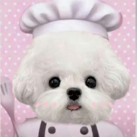 不打月亮的呼噜