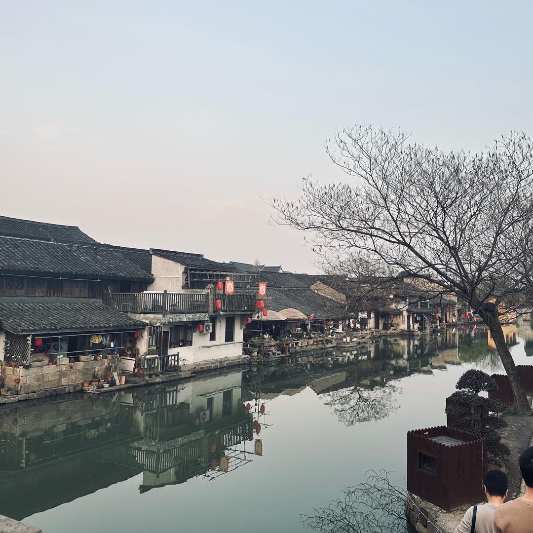 风轻云淡的老陈