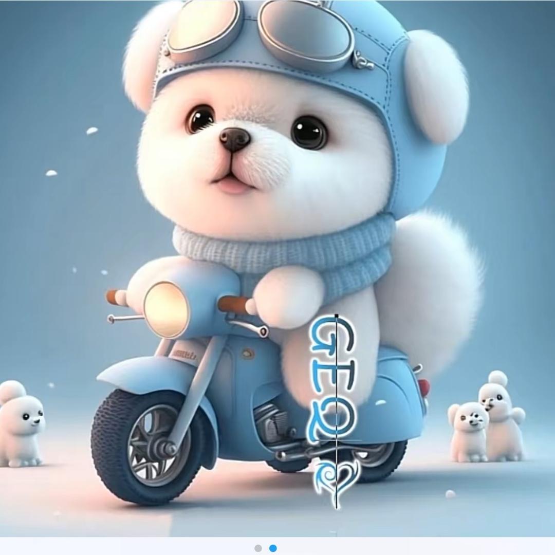 小可爱
