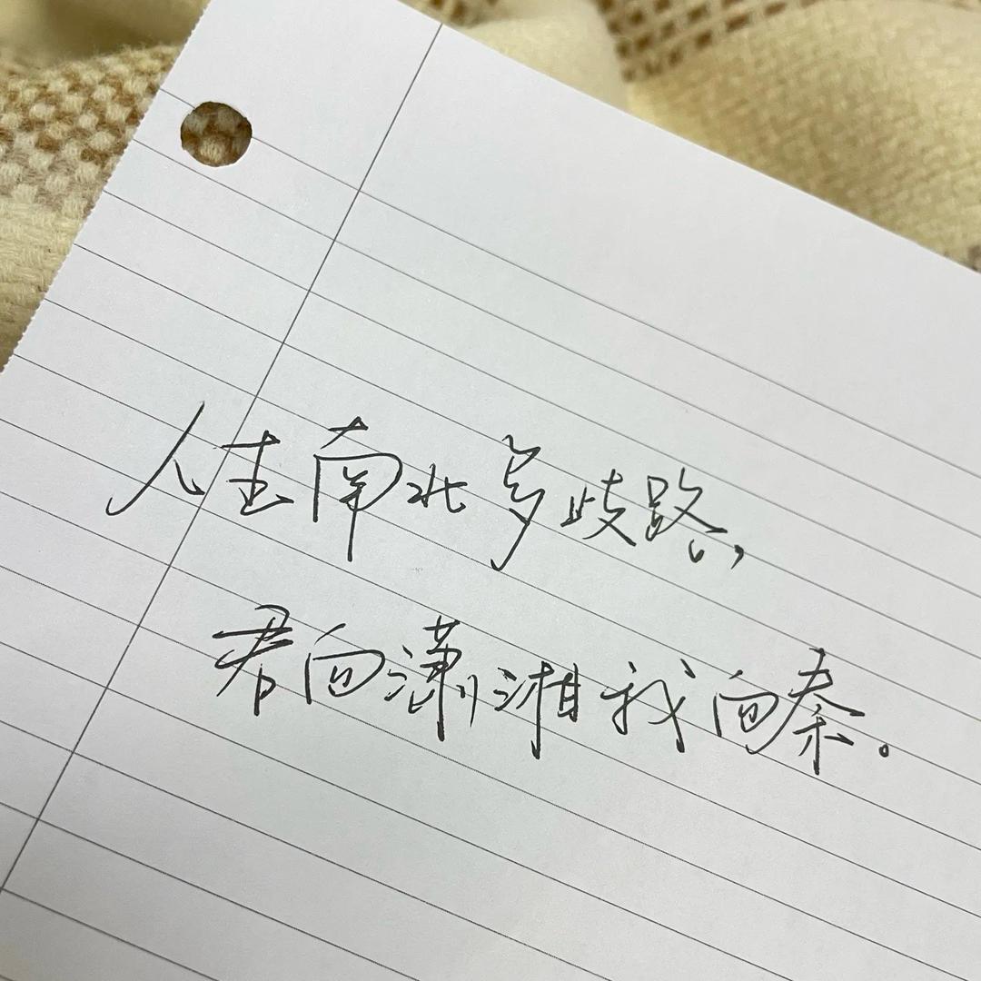 墨墨（新人求关注）