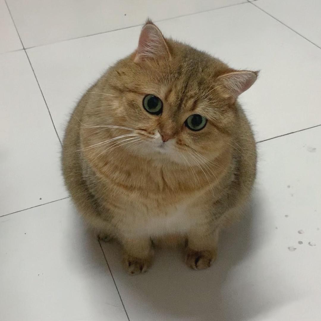 唠唠叨叨