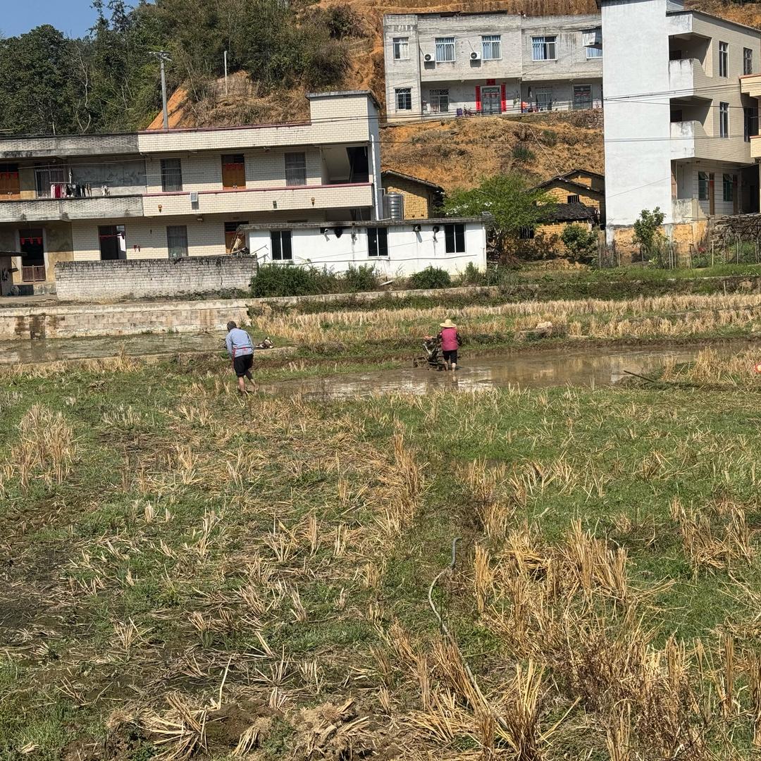 岑溪小妹