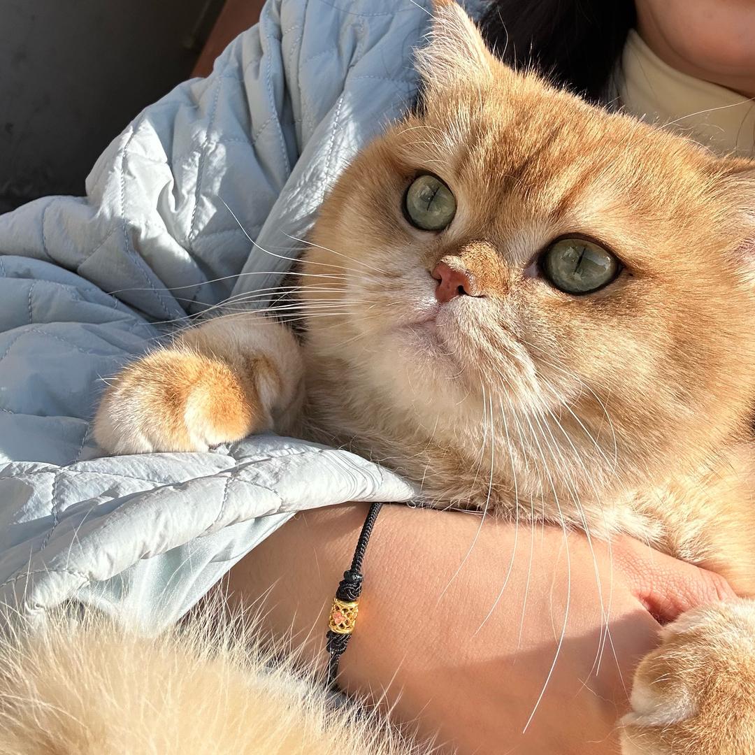 已吴（吃丹修仙）