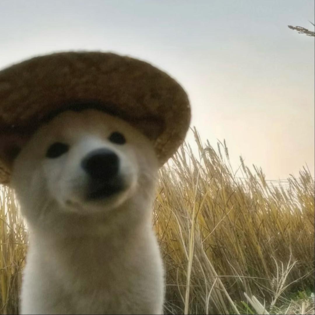 河道蟹