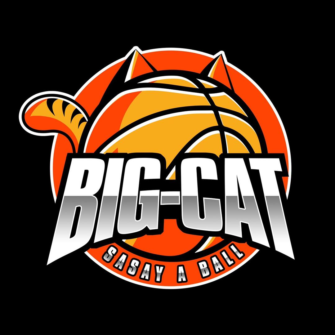 大猫说个球🏀