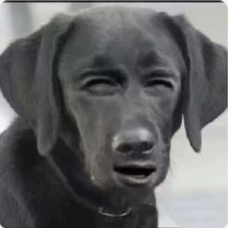 狗哥