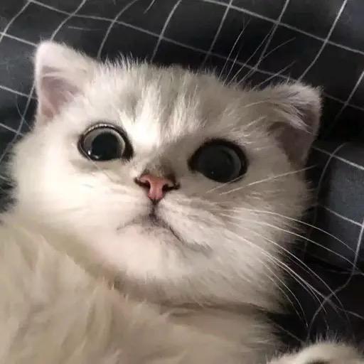 终极地狱魔龙