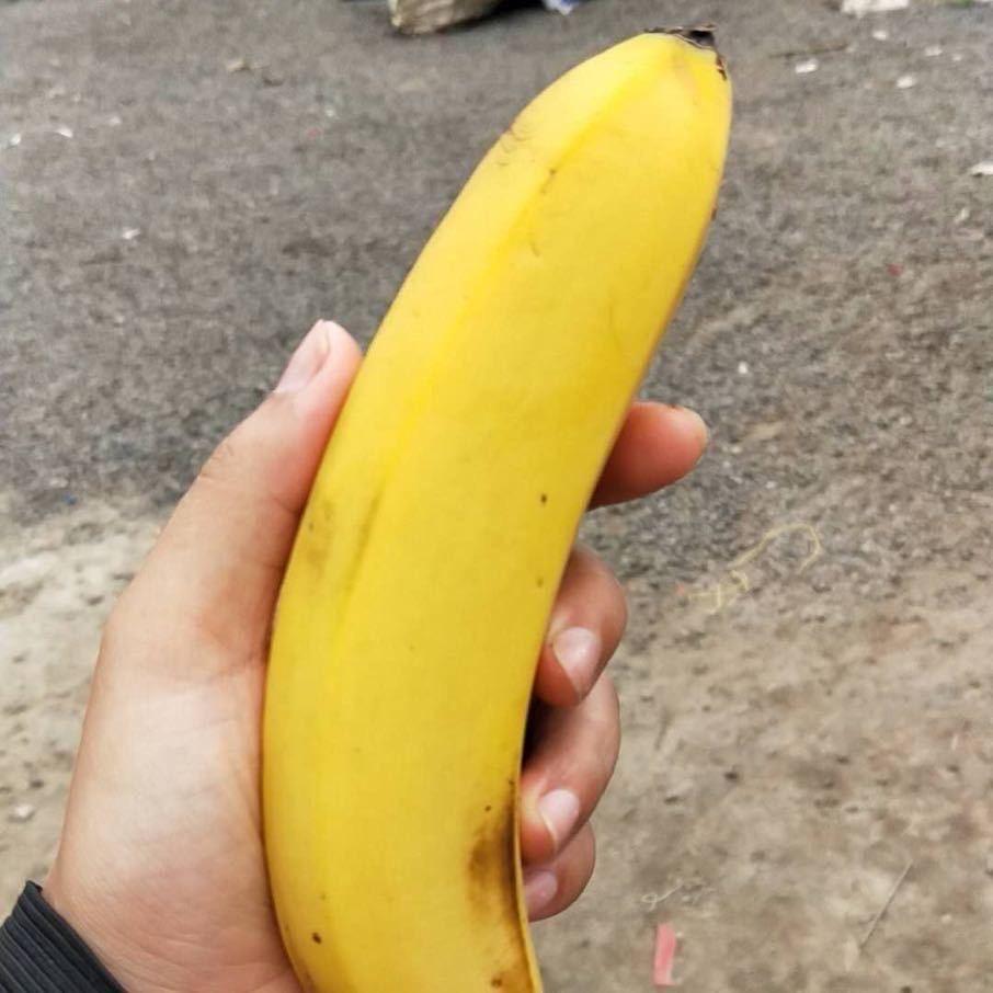 电商搬砖人