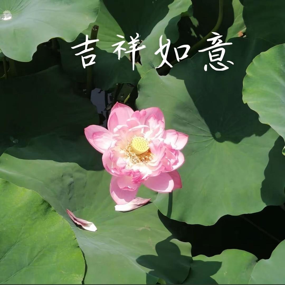 用户168769467