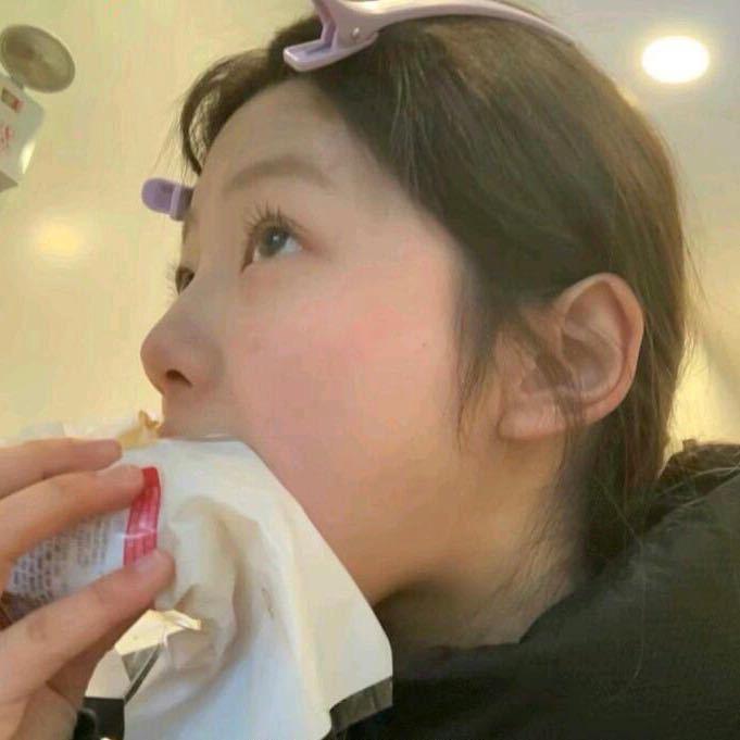 梦中的哈德森