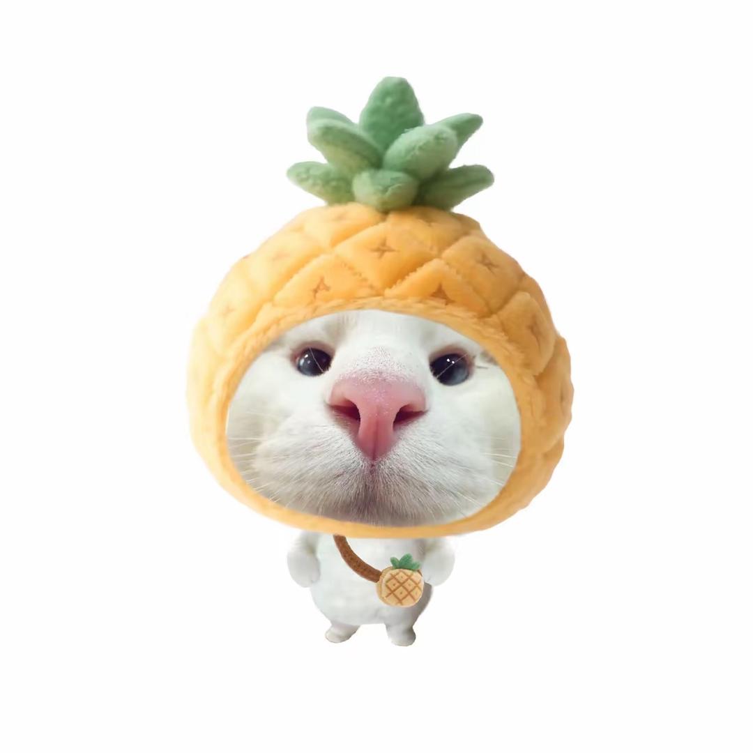 啵啵啵菠萝🍍