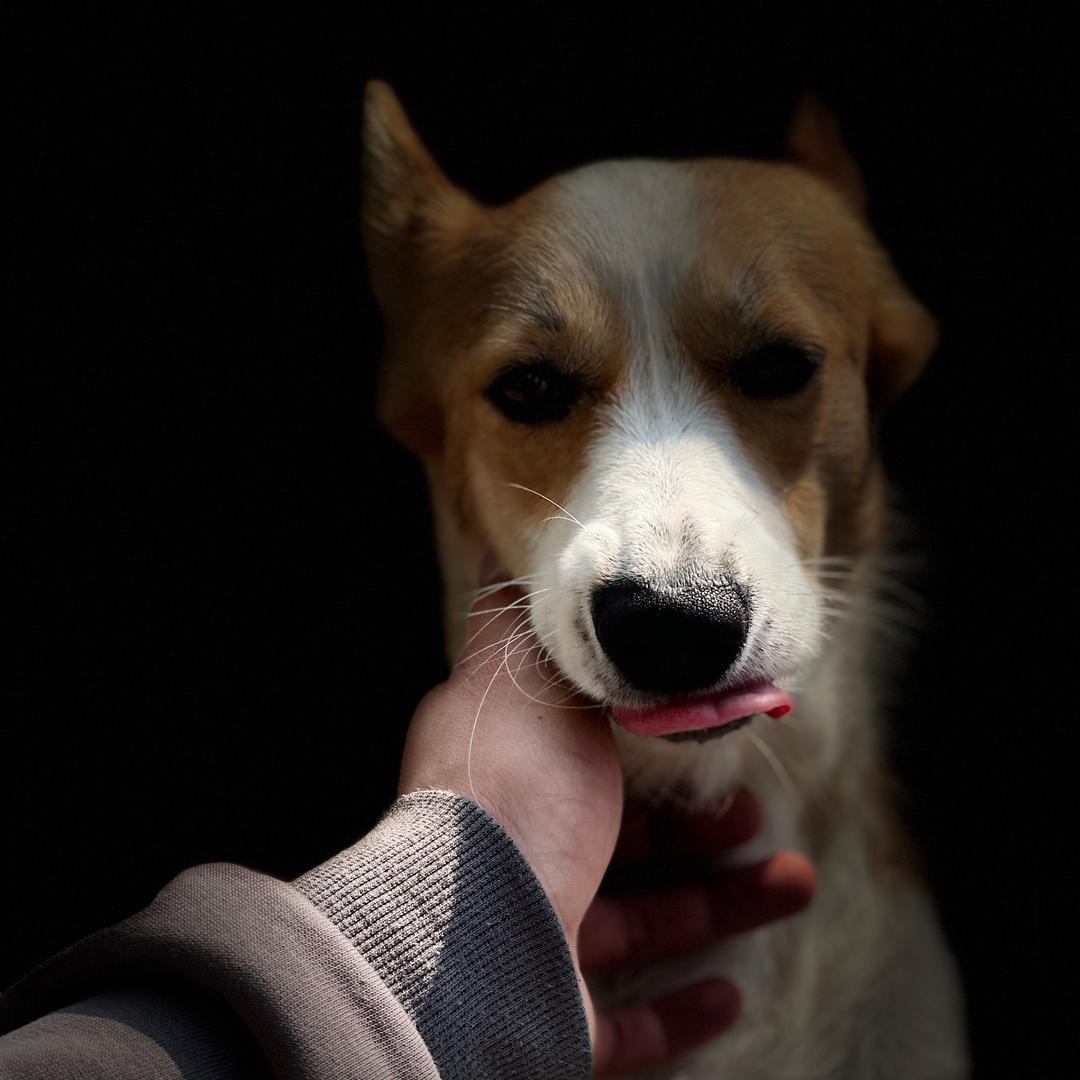 高