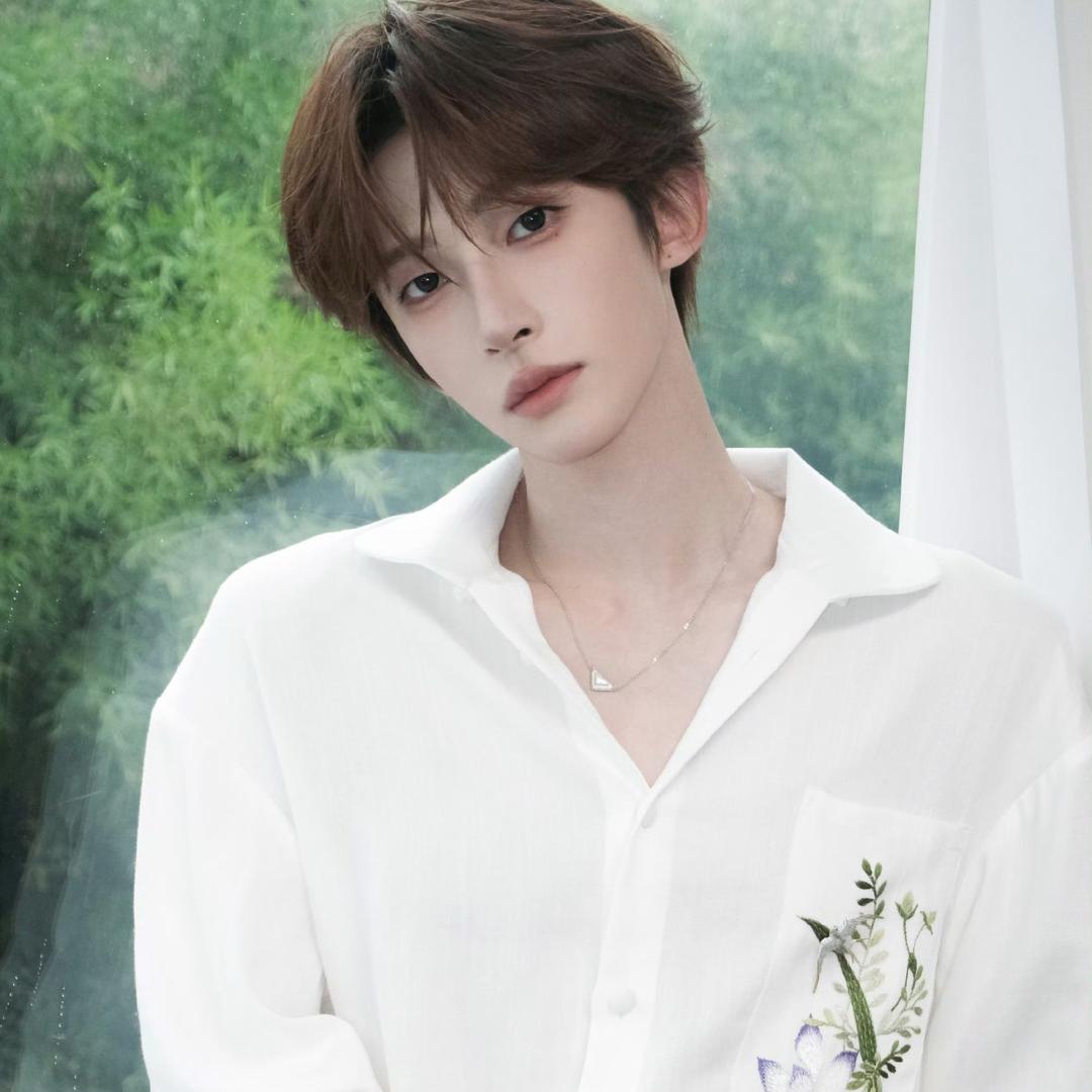 一只小鲨Yu.⁰⁸²⁴