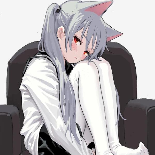 咪的盆友圈˶˃ ᵕ ˂˶