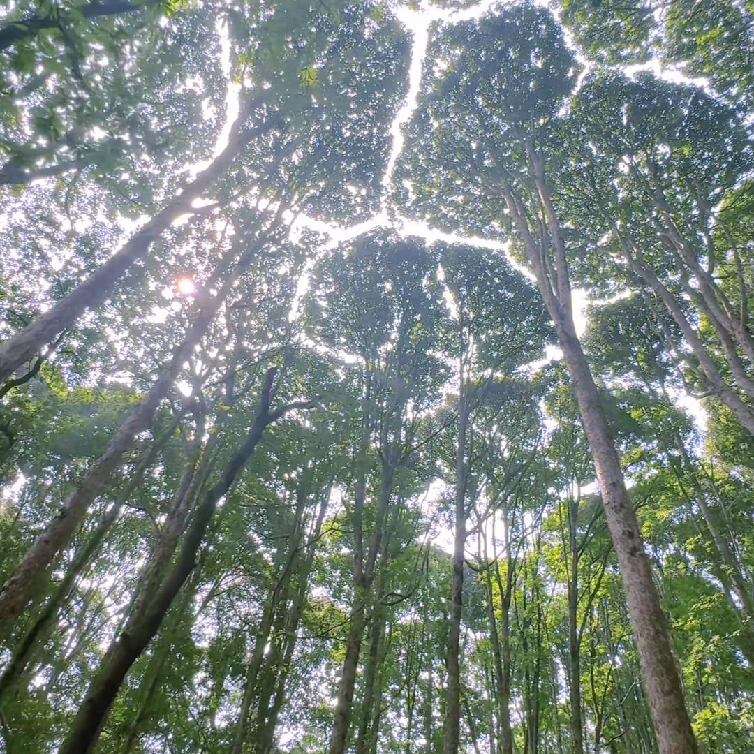 千格大包（二店）