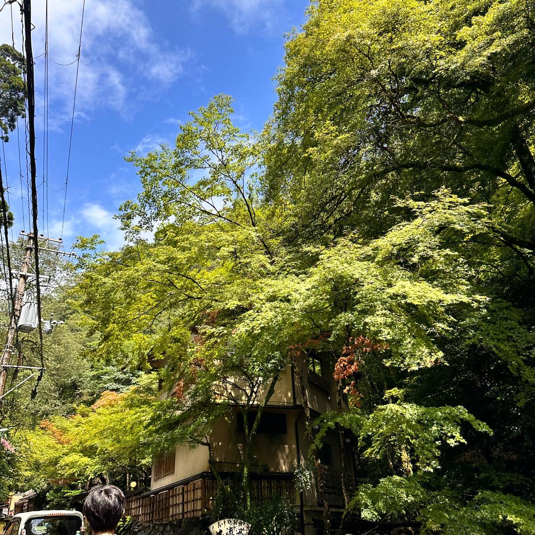 芝麻粽和猪肉粽