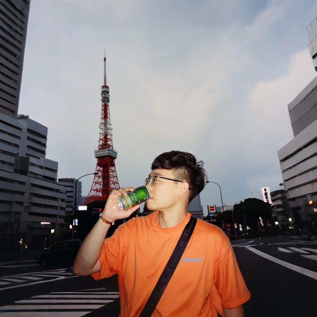 阳光彩虹小白马🦄