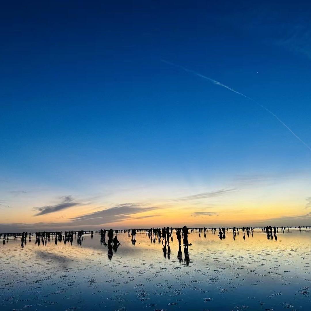 上海鸿瑞翎苏苏