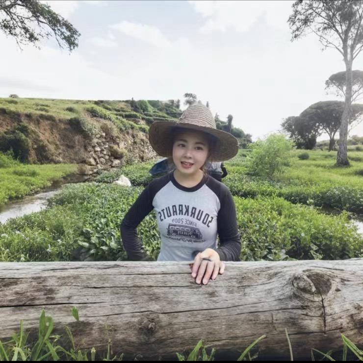 小燕子燕宝宝小铺
